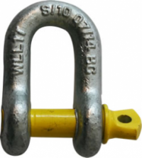 Shackle - Galv. 10mm body, 11mm pin